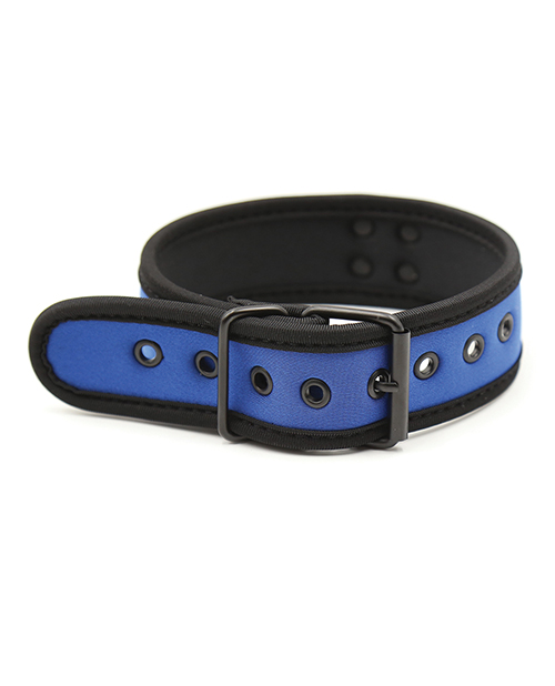 Plesur Neoprene Puppy Collar - Black