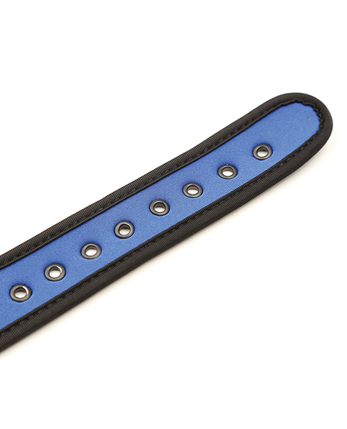 Plesur Neoprene Puppy Collar - Black