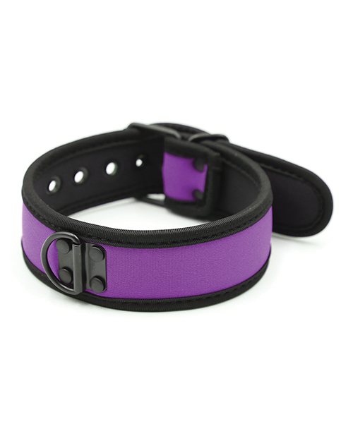 Plesur Neoprene Puppy Collar - Black