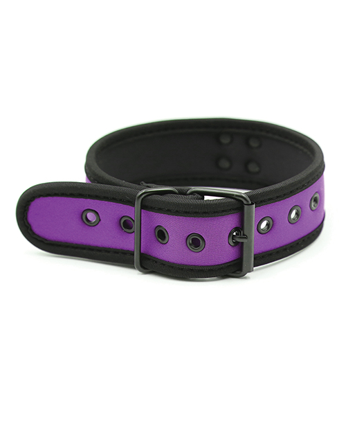 Plesur Neoprene Puppy Collar - Black