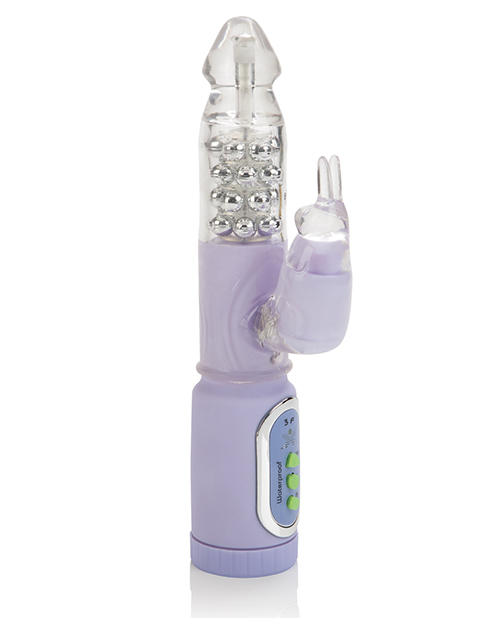 First Time Jack Rabbit - Purple