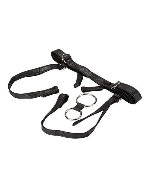 Her Royal Harness The Duchess - Black