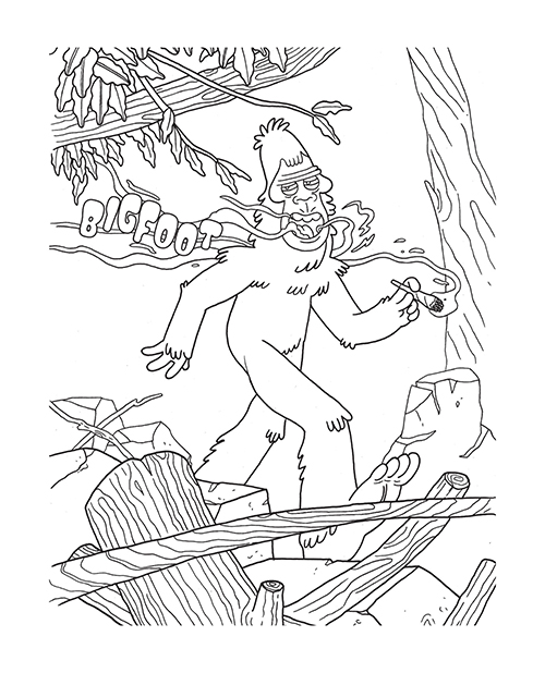 Wood Rocket Who Smokes Weed Adult Coloring Book