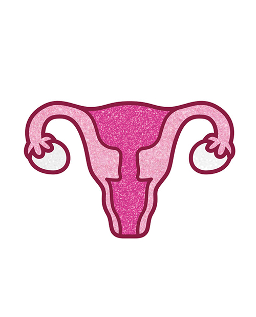 Wood Rocket Uterus Large Pin - Pink